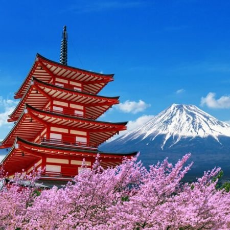 cherry-blossoms-spring-chureito-pagoda-fuji-mountain-japan_335224-177
